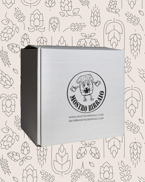 Box degustazione 12X33 CL