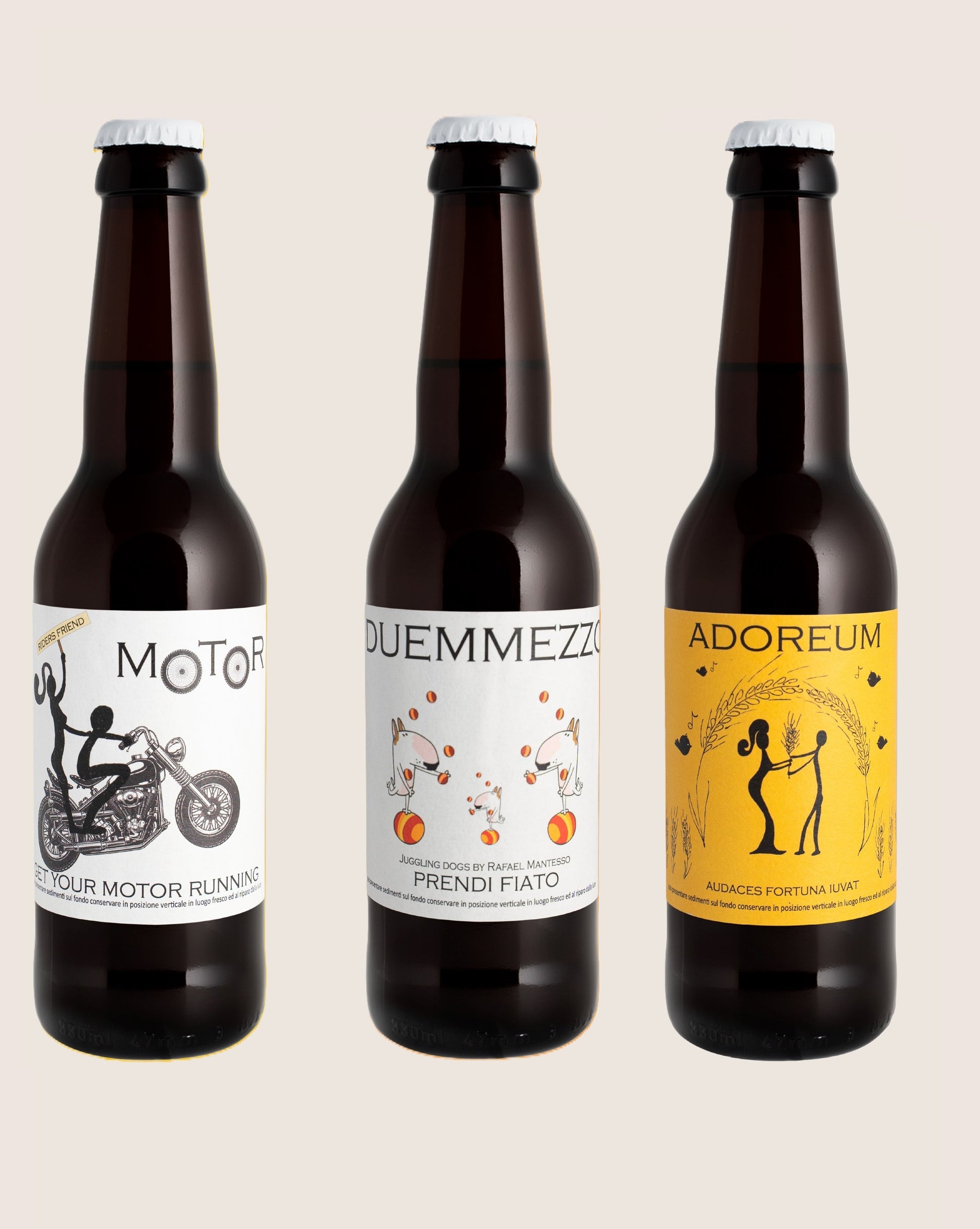 Box degustazione 12X33 CL
