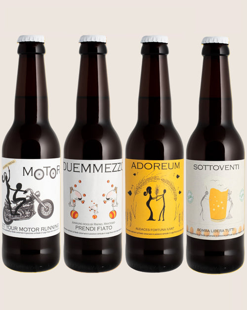 Box degustazione 12X33 CL